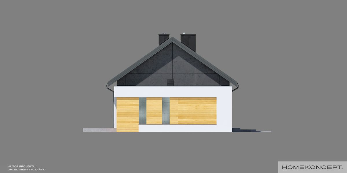 HOMEKONCEPT-44-G2-elewacja-boczna-I